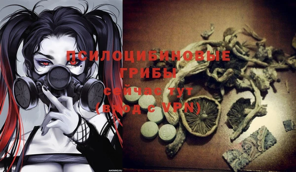 индика Абинск