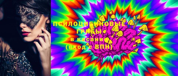 индика Абинск