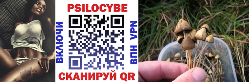 Псилоцибиновые грибы Cubensis  купить закладку  Киров 