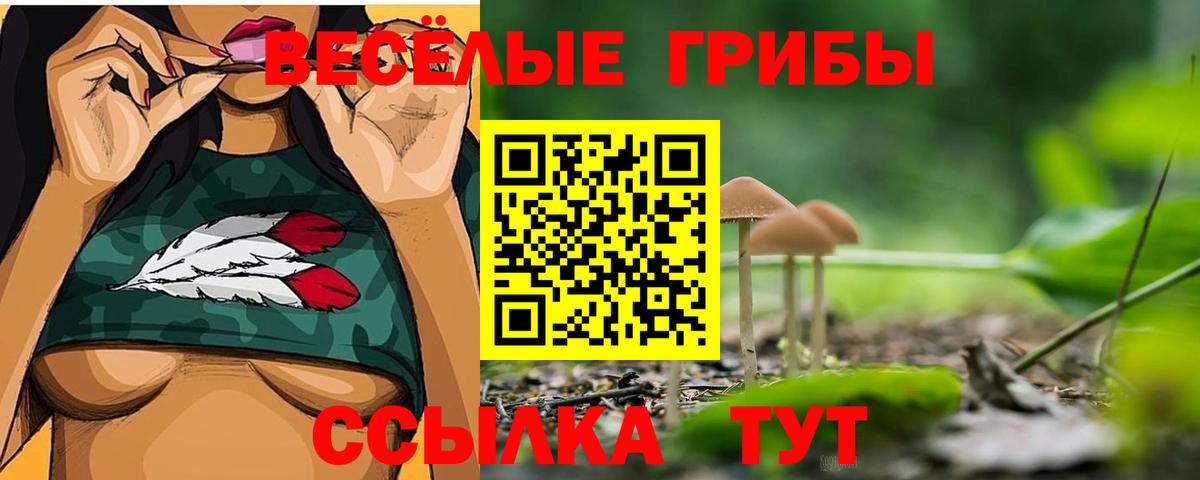 Галлюциногенные грибы ЛСД  Псилоцибиновые грибы мухоморы  Киров  Вход с VPN 